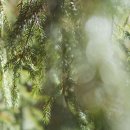 의료법인 보원의료재단 경희의료원 교육협력 중앙병원 이미지