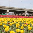 낙동강관리본부 화명생태공원 2 이미지