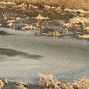 잔잔하지만 빠르게 흘러갔던 1월 | 딩듀의 1월 일상 ✿