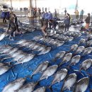 괴정농장 이미지