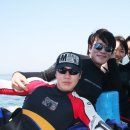 남해다이브리조트 Daum카페
