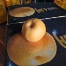 거성농원 이미지