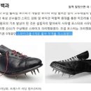 신성신발 이미지