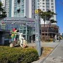 자존심식당 | 한국 프라모델의 자존심_아카데미과학 팝업스토어 관람 후기:)