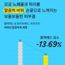 위글리
