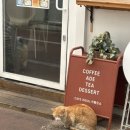 모건약국 이미지