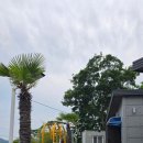 산달도 위시 펜션 이미지