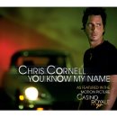 Chris Cornell - You Know My Name (From "Casino Royale" Soundtrack) 이미지