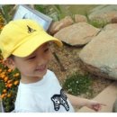 리틀카이스트 이미지