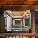 숲속애애플트리 이미지