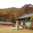 보살사 이미지