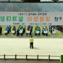 옐로우시티 이미지