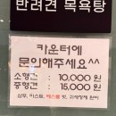 펫마트진주 - 진주시 진주대로 1217 | 진주대형카페 힐브리즈카페｜애견동반 가능한 초전동카페 솔직 후기