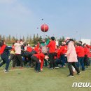 강서구-22 이미지