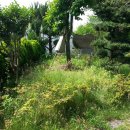 봉선중학교 이미지