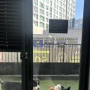 폼#반려견미용실 이미지