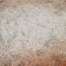 중간말농장 이미지