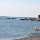 감포해수탕 이미지