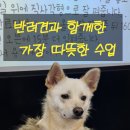 선학종합사회복지관 | 인천 연수구 반려견 동반 수업 후기｜선학사회복지관 ‘펫밀리가 떴다’ 4주 과정 이야기