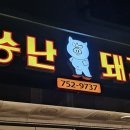 씅난돼지 - 진주시 초전북로61번길 25-8 | 씅난돼지