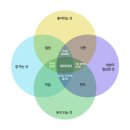 이키가이 이미지