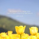 회개와 성찰의 책장 이미지