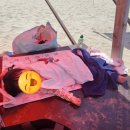동해시-19 | 삼척 작은후진해변 후기｜19개월 아기랑 가본 동해 해수욕장 (주차·평상·물깊이 총정리)