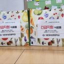 대전보성초등학교 이미지