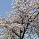 세븐일레븐 평택은혜로점 이미지