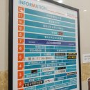 앨리스 넥스트 도어 이미지