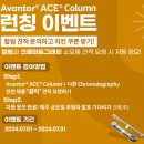 라인에이스
