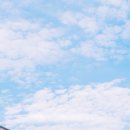 와흘메밀마을 이미지