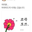 오만지아 네이버블로그
