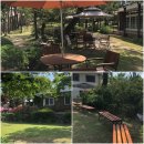 버스정류장 05-042 | [가봄]과거와 현재의 공존, 푸릇푸릇 테미오래