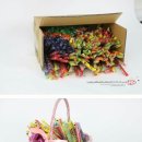 공구조아 이미지