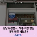 유정약품 | [고객사 인터뷰] 위생관리에 진심인 식당의 선택, ‘케어원’과 함께한 강남 유정분식의 이야기