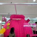 대박스타 | 동대문 DDP 컬리뷰티페스타 초대박 득템 후기 꿀팁