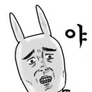 대식가2900 이미지
