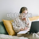 B12-1 이미지