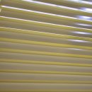 딩동댕 펫살롱 이미지