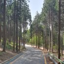 사천케이블카자연휴양림(사천) 이미지