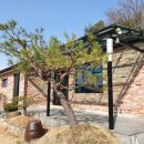 춘천유정펜션 이미지