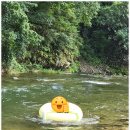 아무르베이커리 이미지