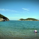 금해민박 | 전북 부안 위도 캠핑