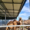 다금농장 이미지