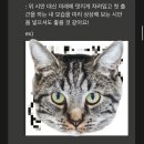 [덕계]움직이는 이모티콘 만들기 | 🎨 방방 작가님 이모티콘 챌린지 5주 완주 후기 (feat. 100% 환급 &amp; 1:1 피드백 공개!)