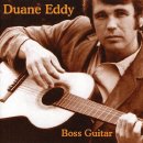 Dance With The Guitar Man - Duane Eddy 이미지