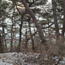 마치세월교 이미지