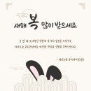 세인트벨 인터내셔날 네이버블로그