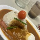 메이드핏 바이 브래이디 | 대전여행과 요즘 화제